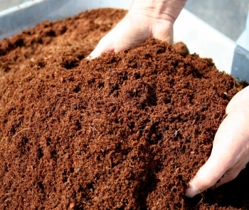 Granular Sorbents